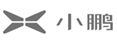 小鵬汽車是中國(guó)領(lǐng)先的智能電動(dòng)汽車設(shè)計(jì)及制造商，也是融合前沿互聯(lián)網(wǎng)和人工智能創(chuàng)新的科技公司。
